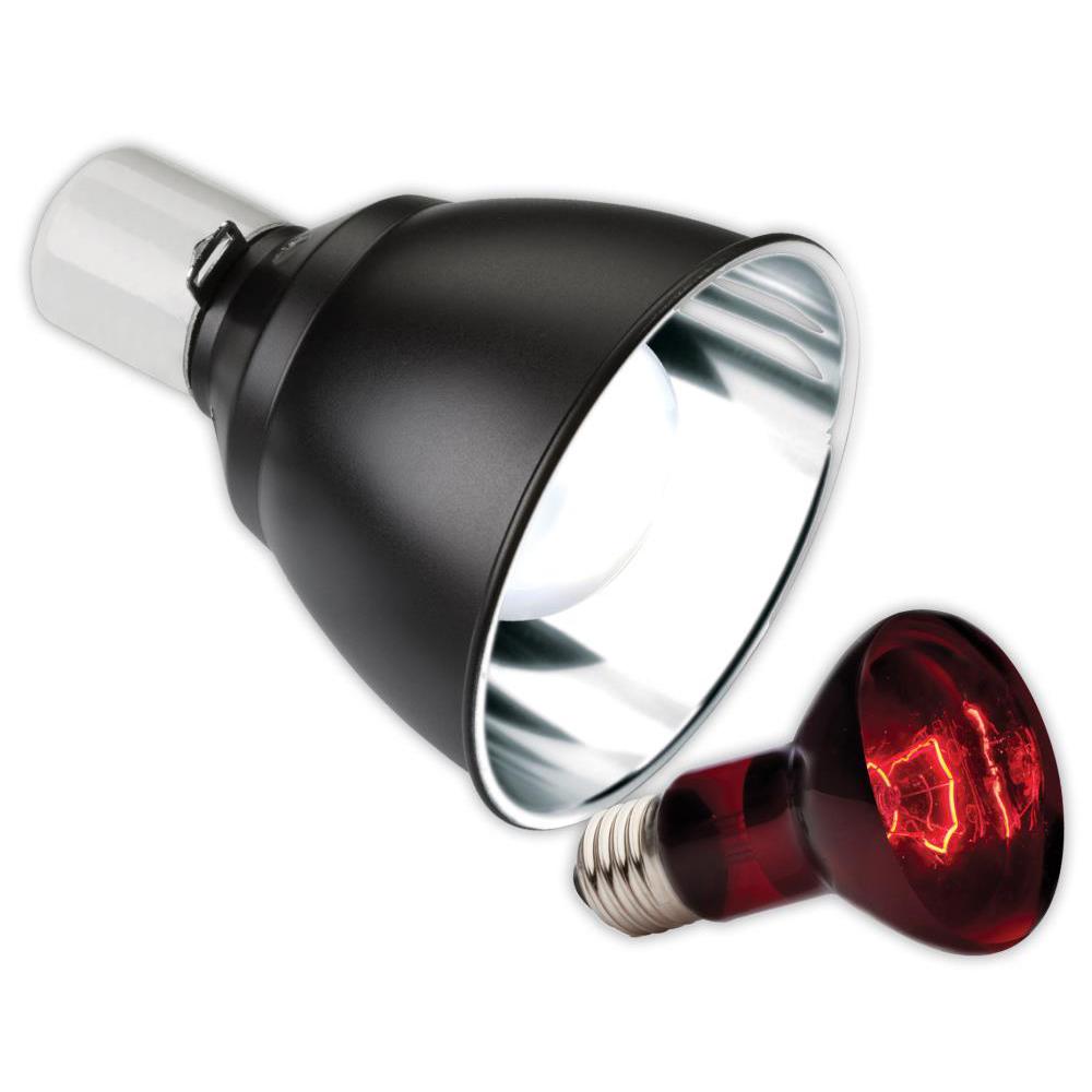 Exo Terra Infrared Basking Lamp Dome From Aquacadabra