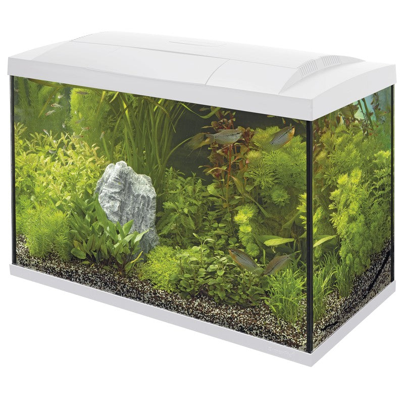 Superfish Start 70 Tropical Aquarium Kits (60L)