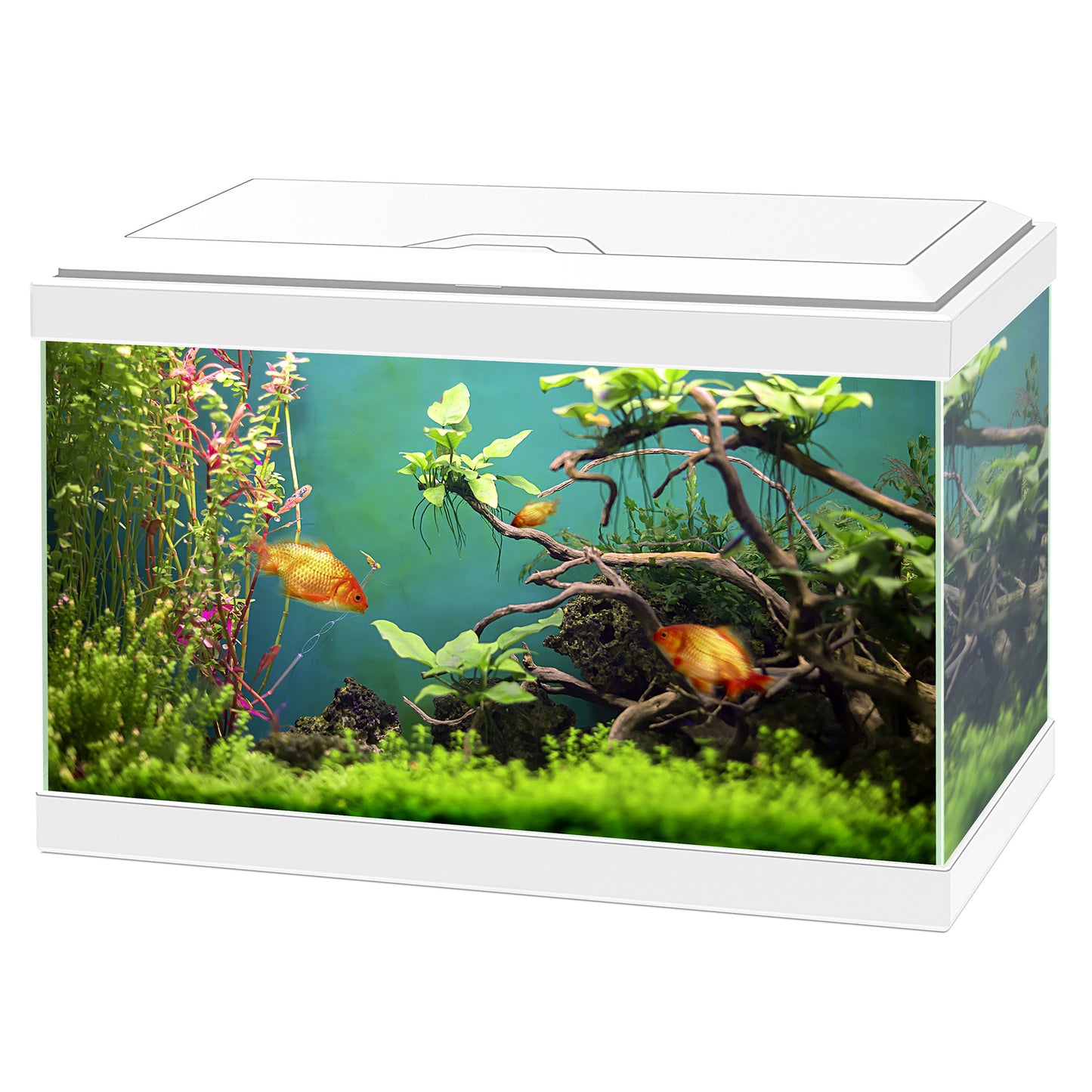 Ciano Aqua 20 Classic Aquariums