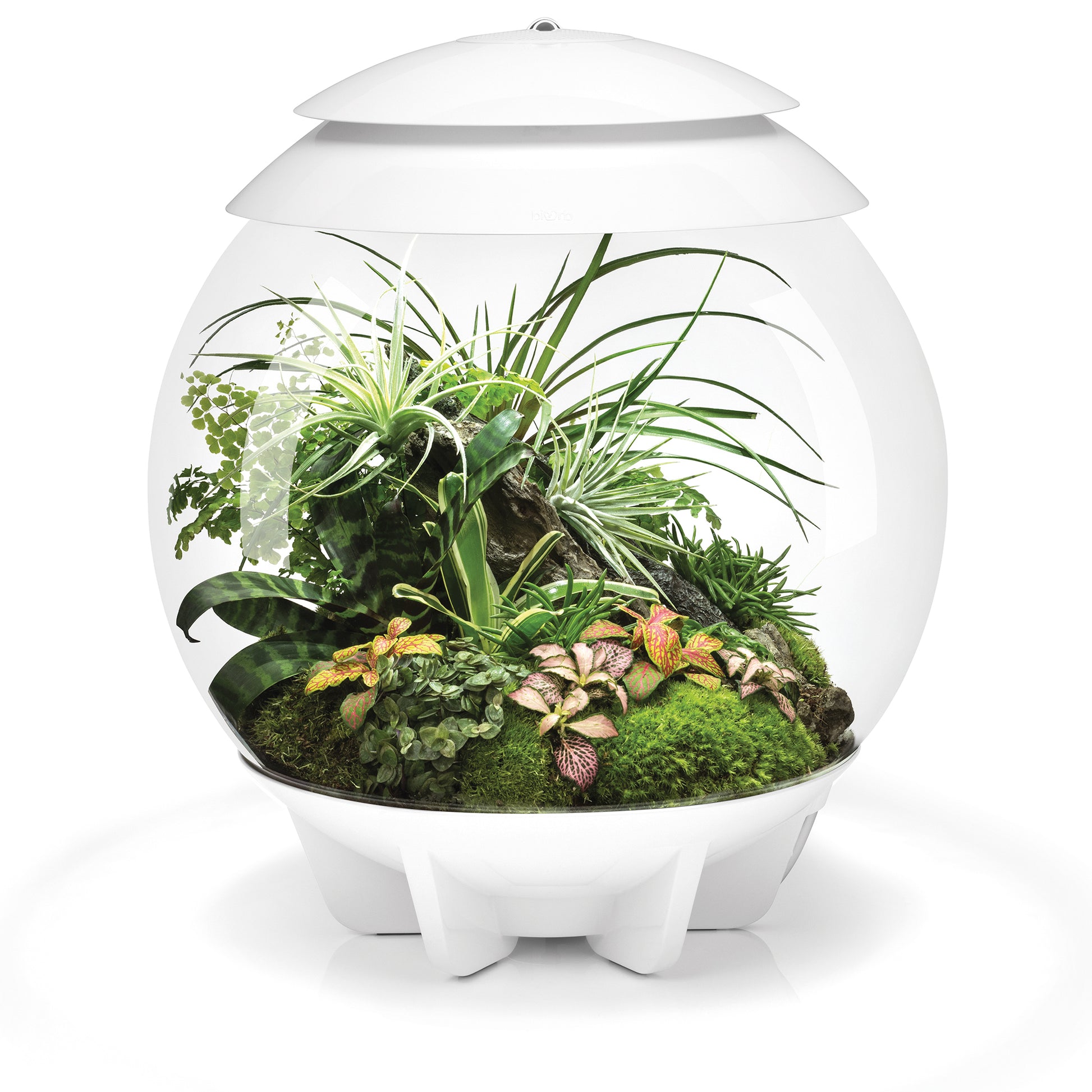 biOrb AIR 30 Terrariums