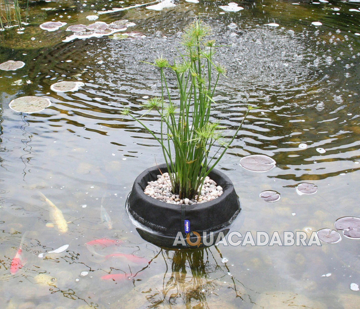 LAGUNA 10" FLOATING BASKET