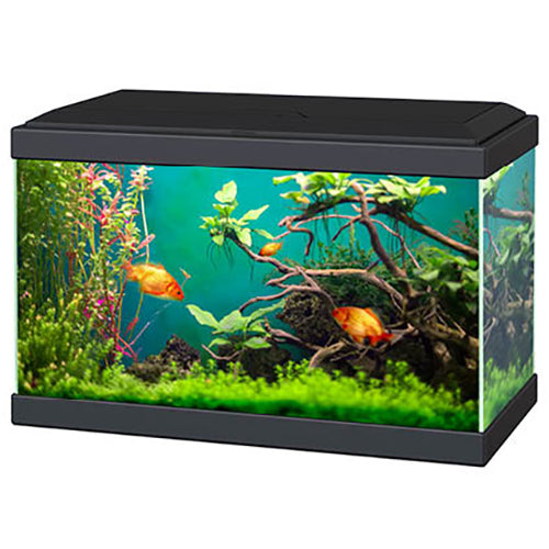 Ciano Aqua 20 Classic Aquariums