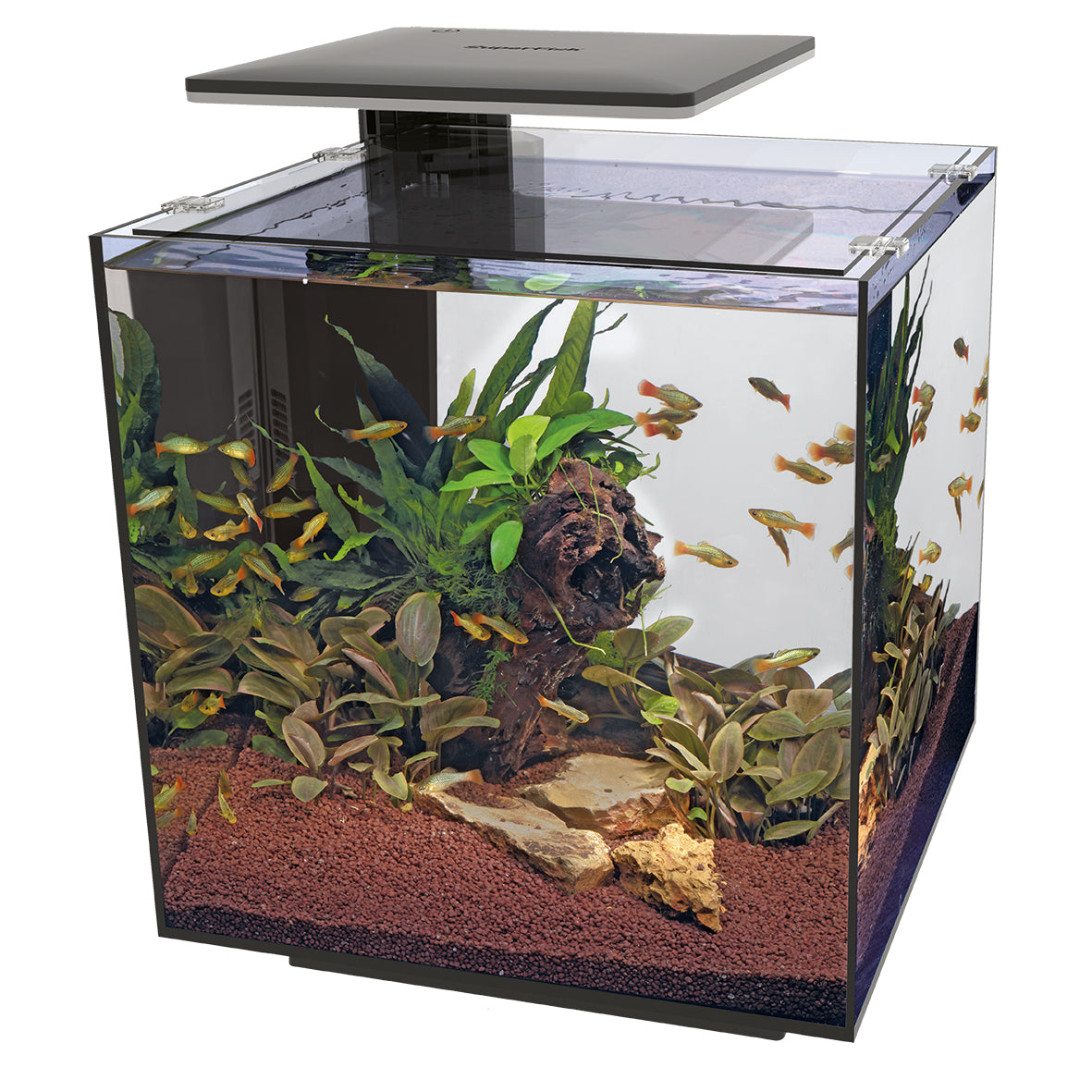 Superfish Qubiq Pro 60 LED Aquariums