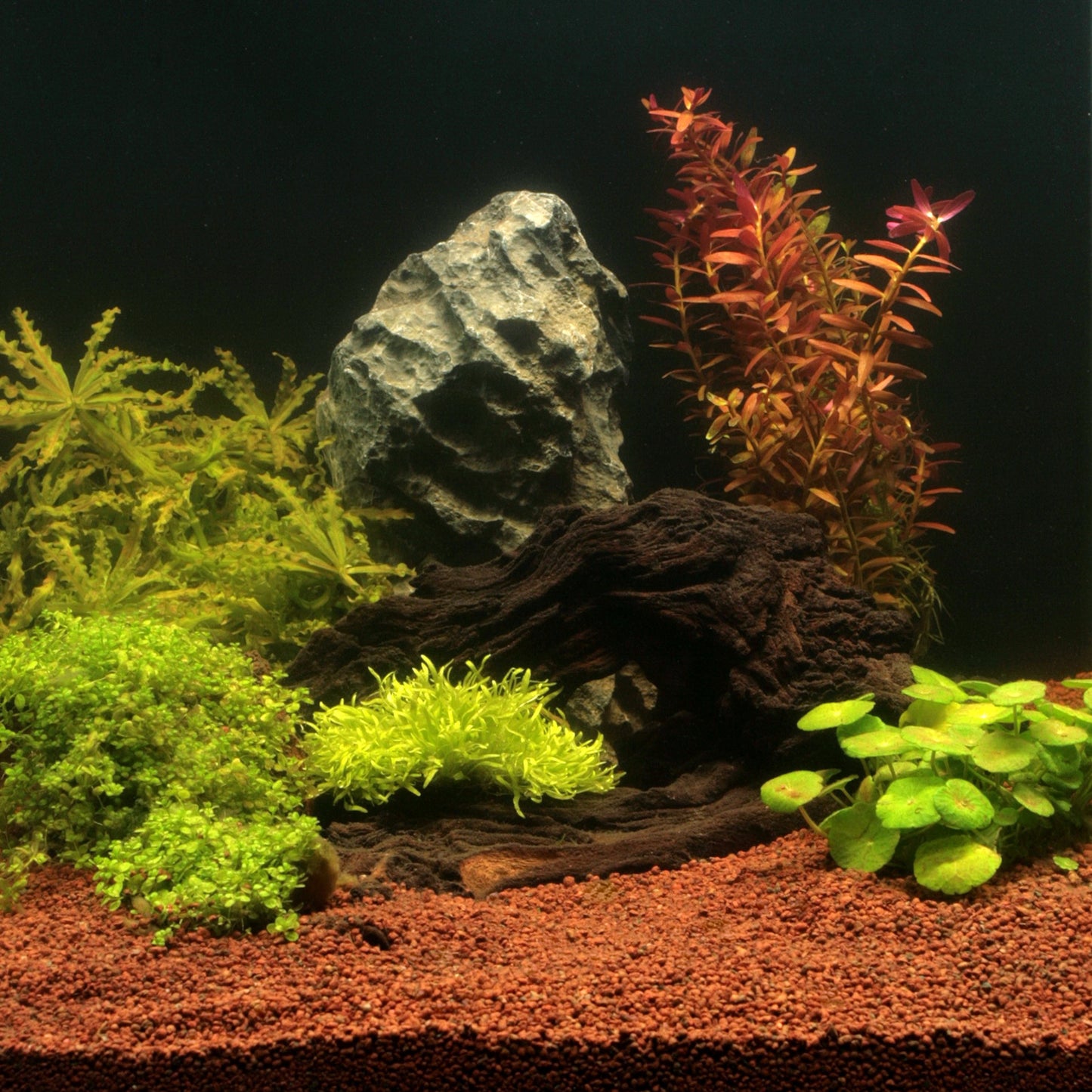 JBL Manado Natural Substrate