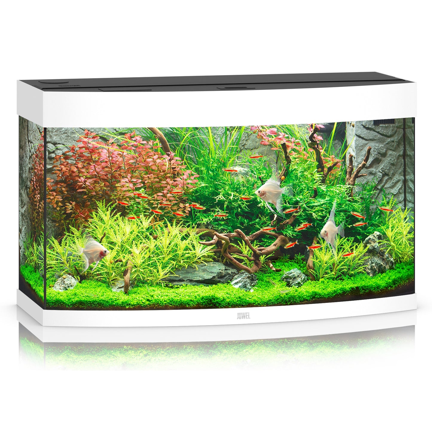 Juwel Vision 180 LED Aquarium Only