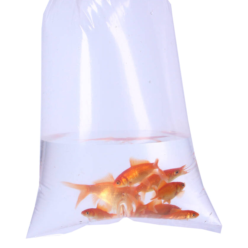 Aquacadabra Fish Transport Bags