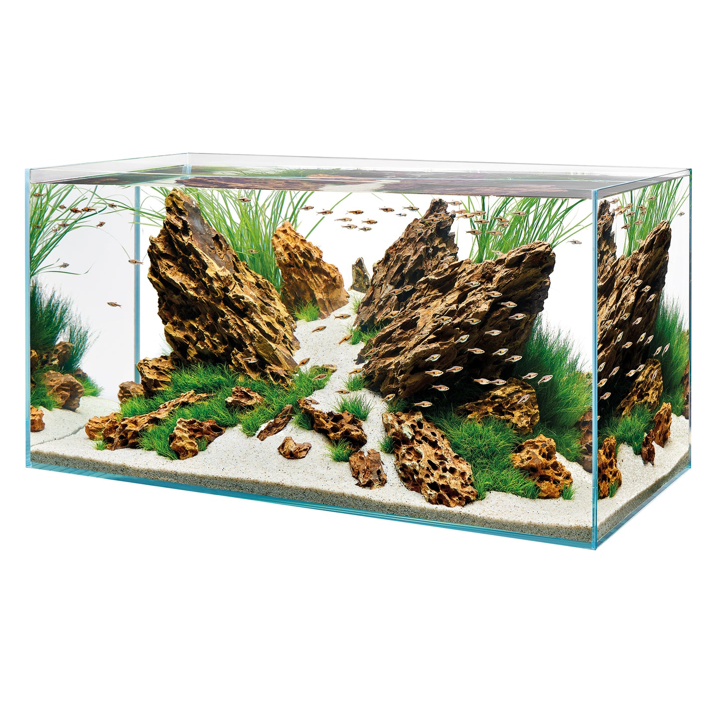 Oase ScaperLine 90 Aquarium