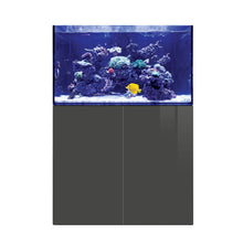 D-D Aqua-Pro Reef 900 Tank & Cabinet (Gloss Anthracite)