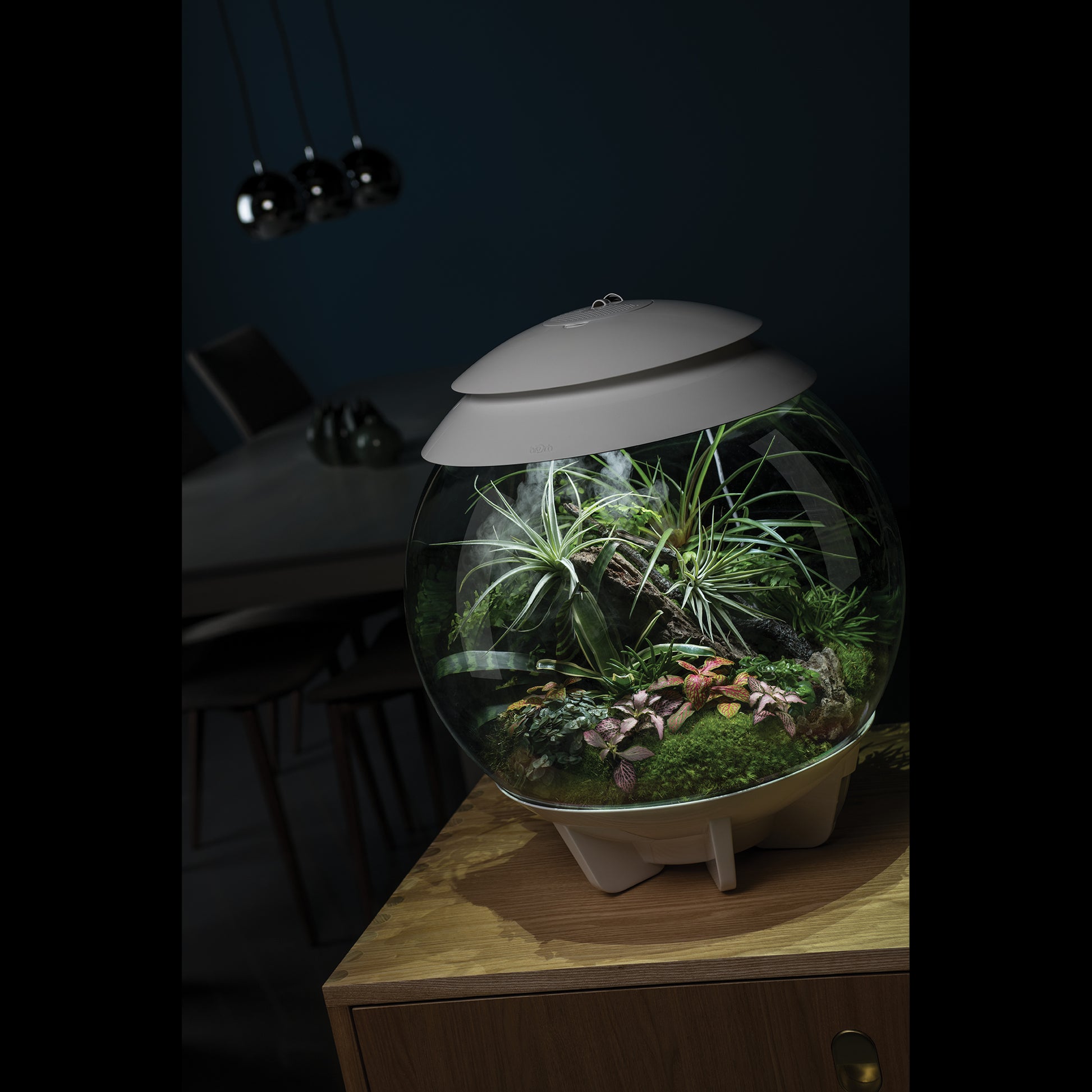 biOrb AIR 30 Terrariums