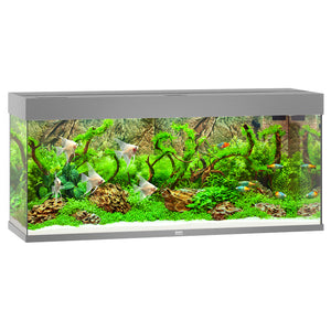 Juwel Rio 240 LED Aquarium Only