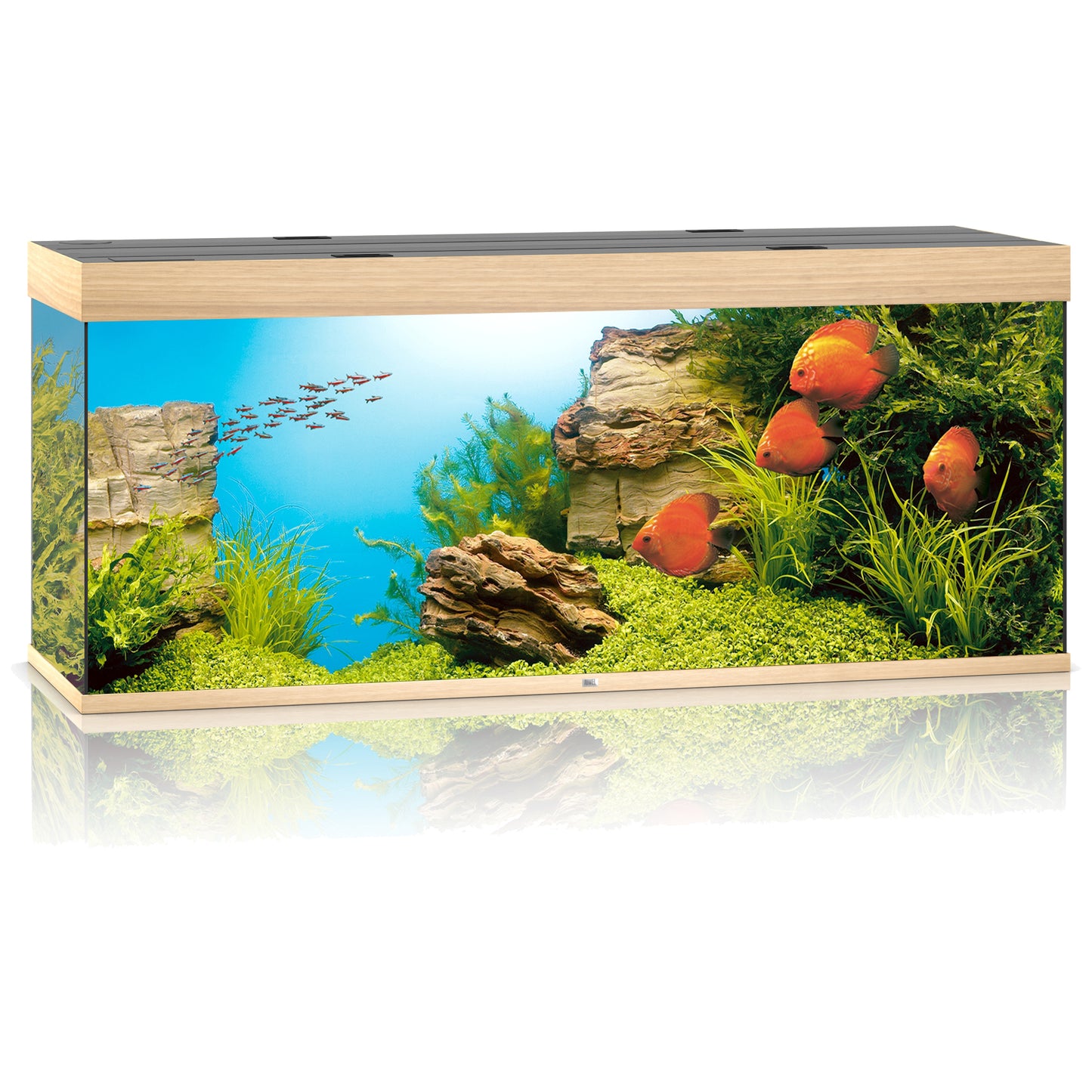 Juwel Rio 450 LED Aquarium Only