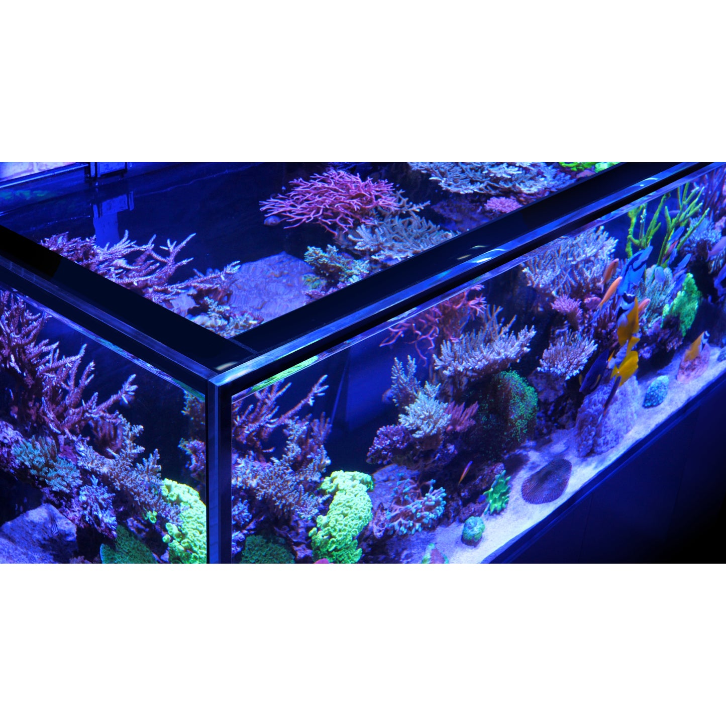 Red Sea Reefer-S 850 G2 Aquarium (Black)