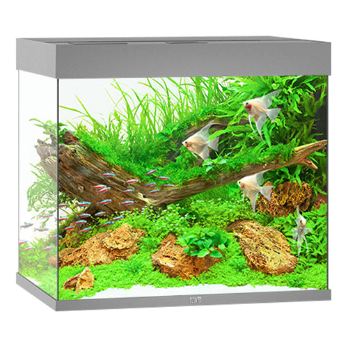 Juwel Lido 200 LED Aquarium Only