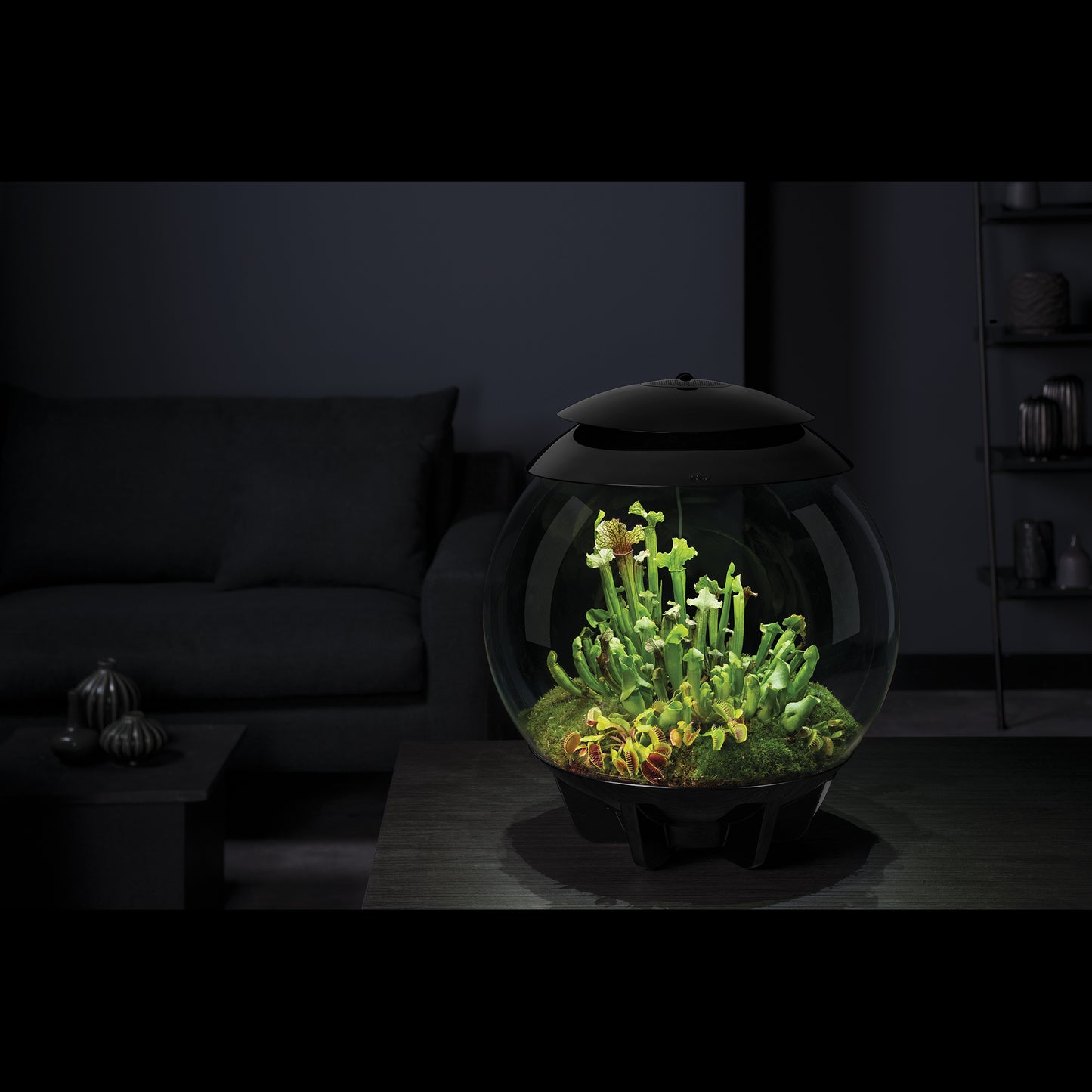 biOrb AIR 30 Terrariums