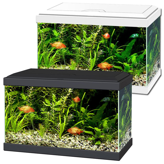 Ciano Aqua 20 LED Aquariums