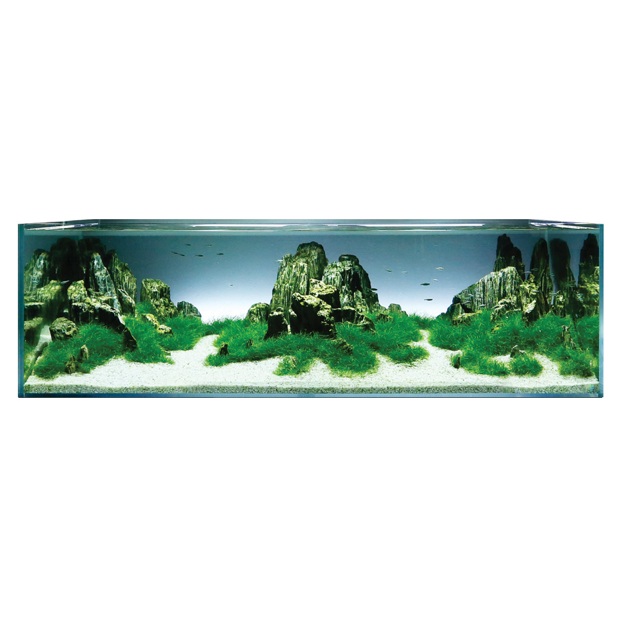D-D Aqua-Pro Aquascaper 1500 Plus (Aquarium Only)