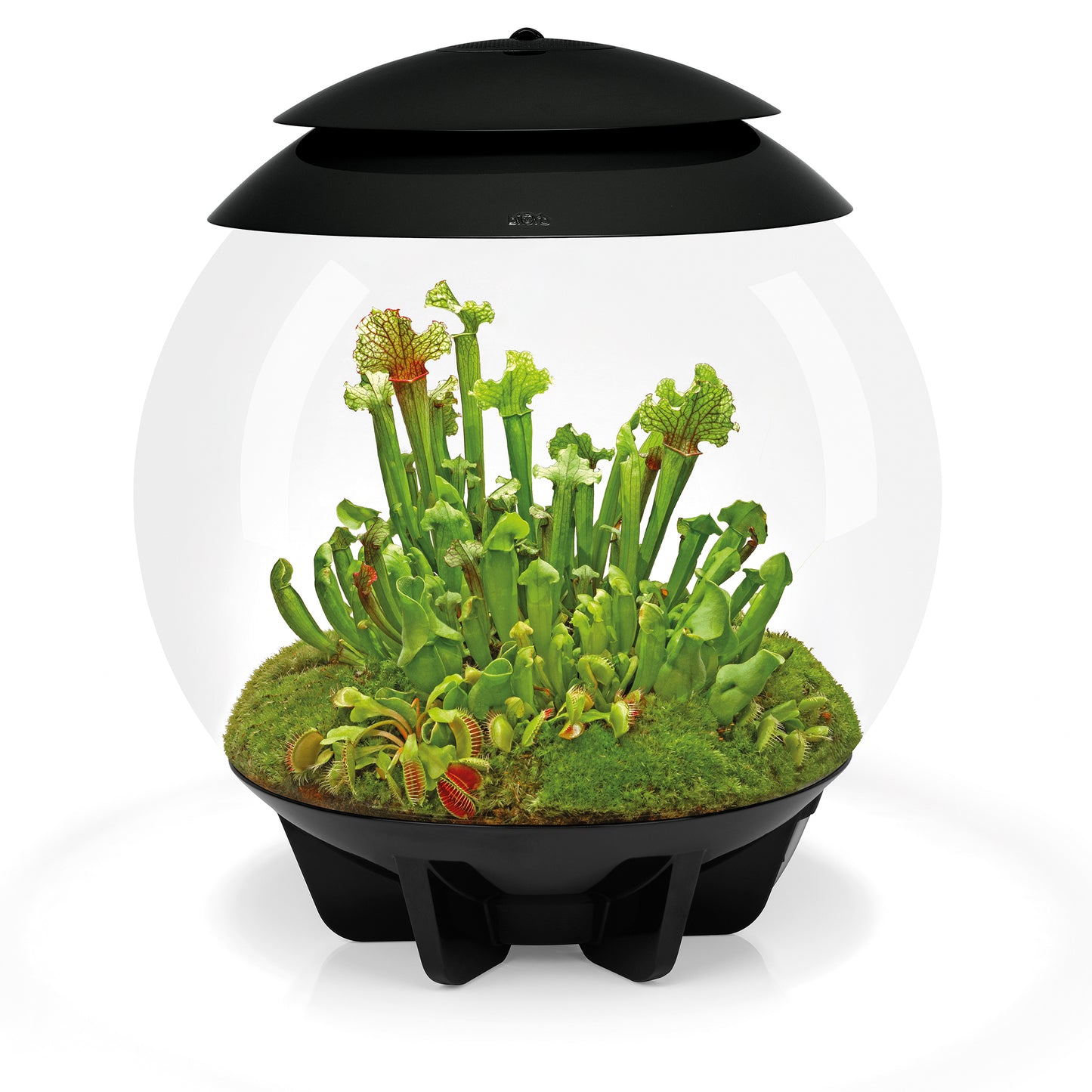 biOrb AIR 30 Terrariums