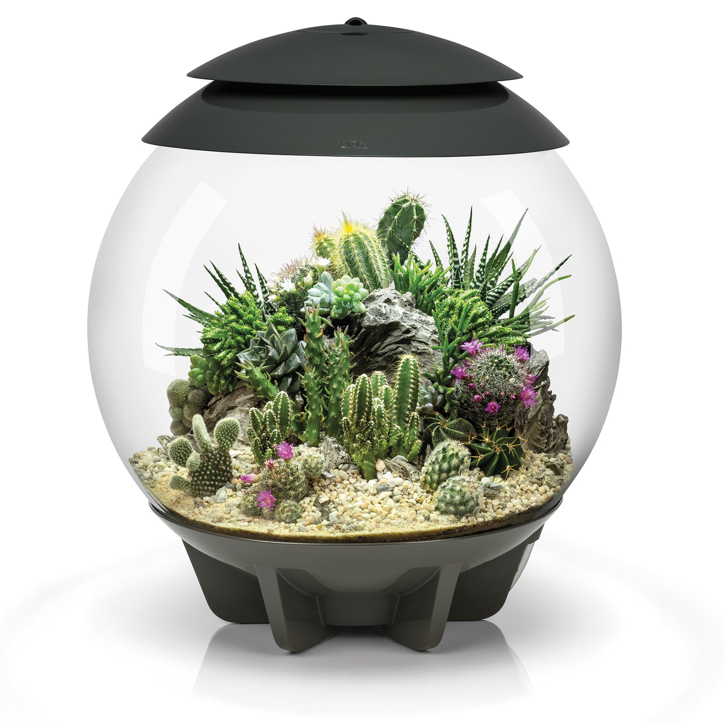 biOrb AIR 30 Terrariums