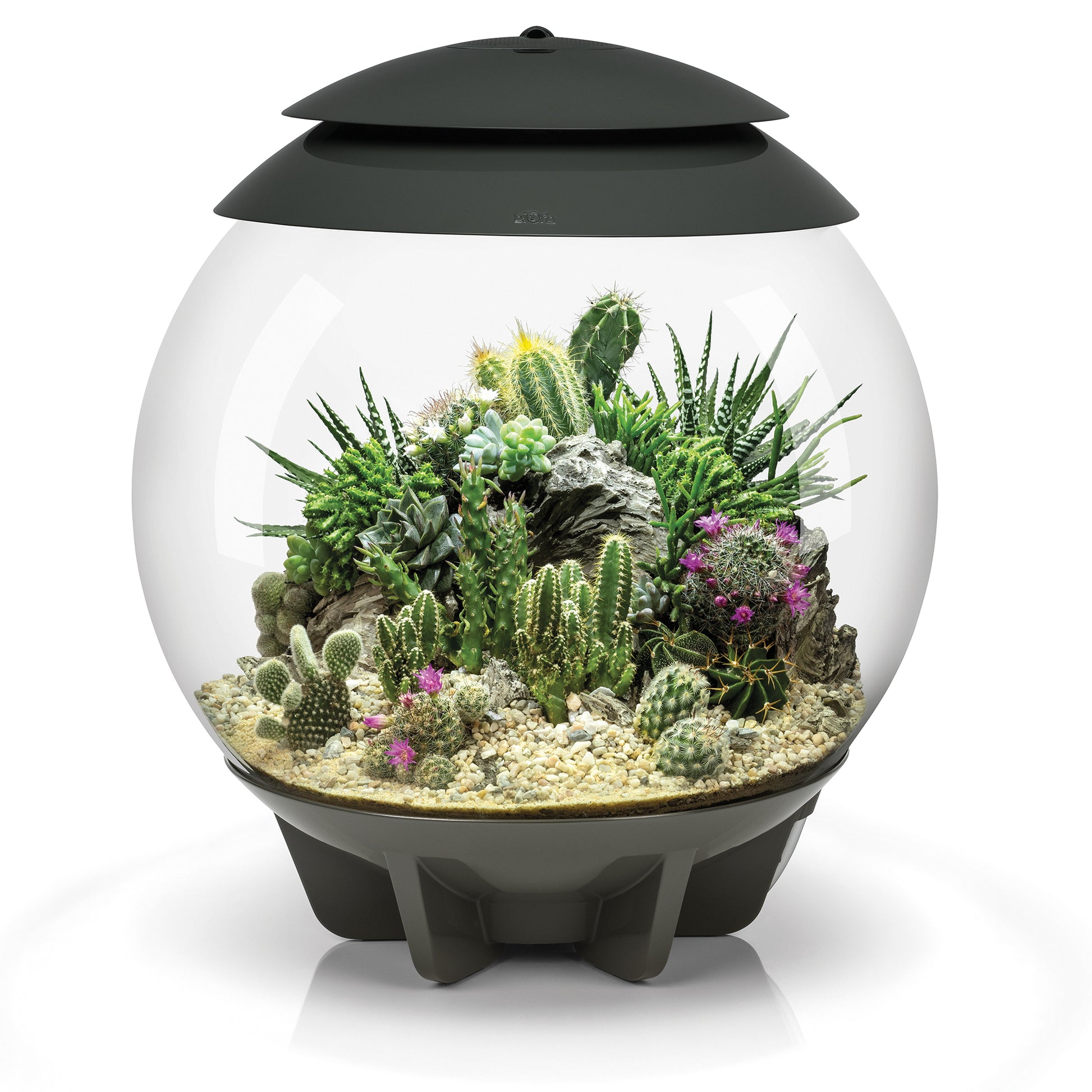 biOrb AIR 30 Terrariums