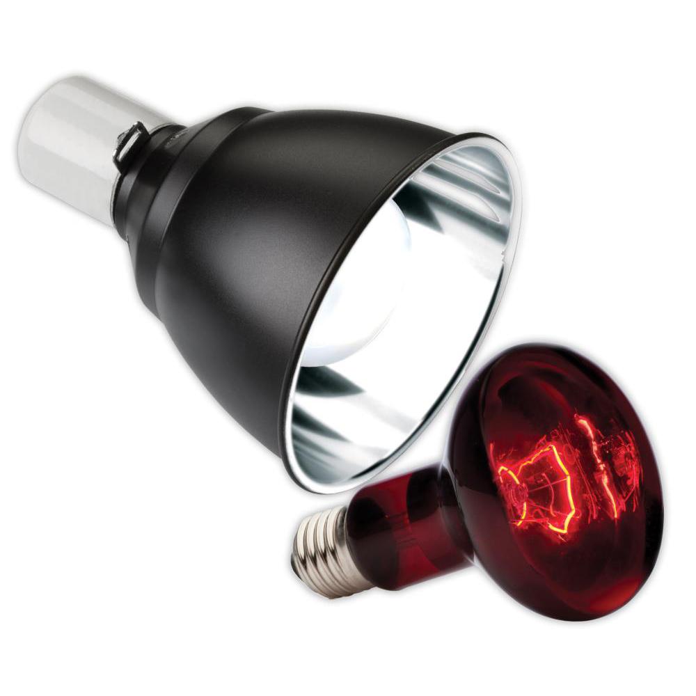 Exo Terra Infrared Basking & Dome