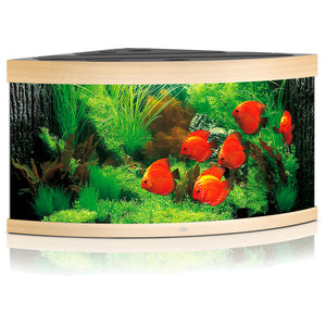 Juwel Trigon 350 LED Aquarium Only