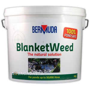 Bermuda BlanketWeed Treatment