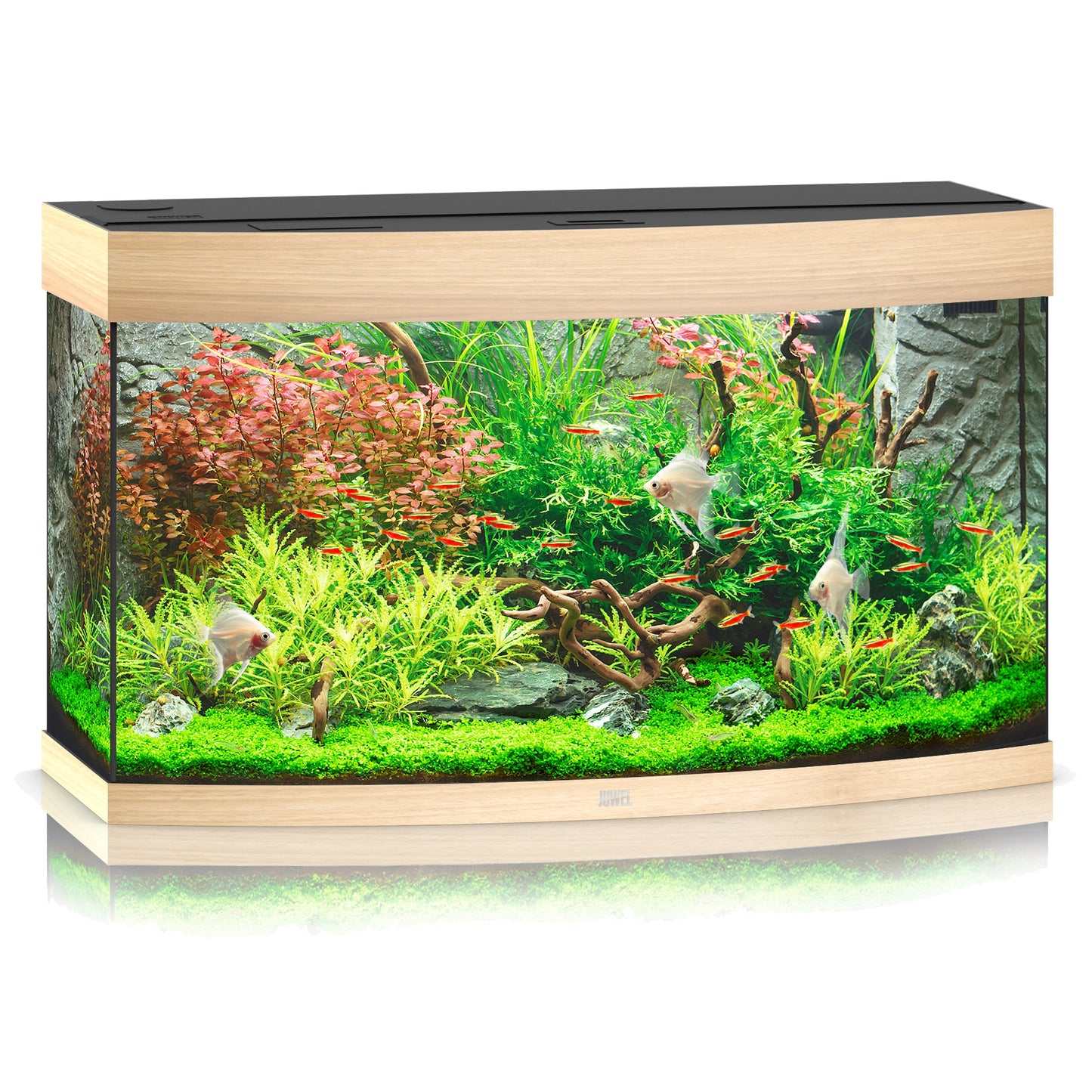Juwel Vision 180 LED Aquarium Only
