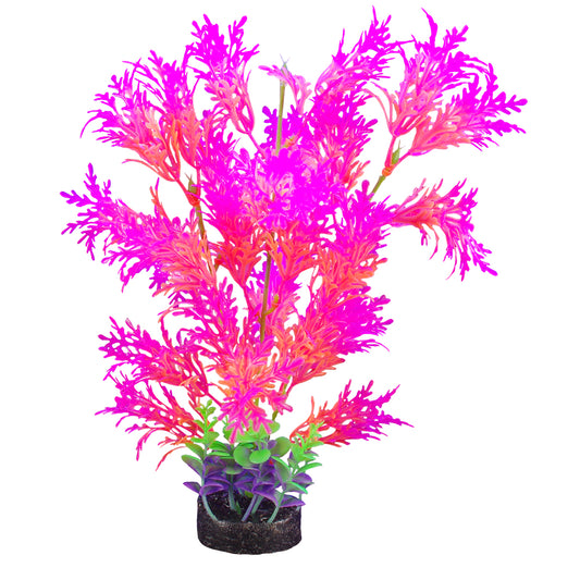 Marina iGlo Plant 12.5" (Pink) PP1002