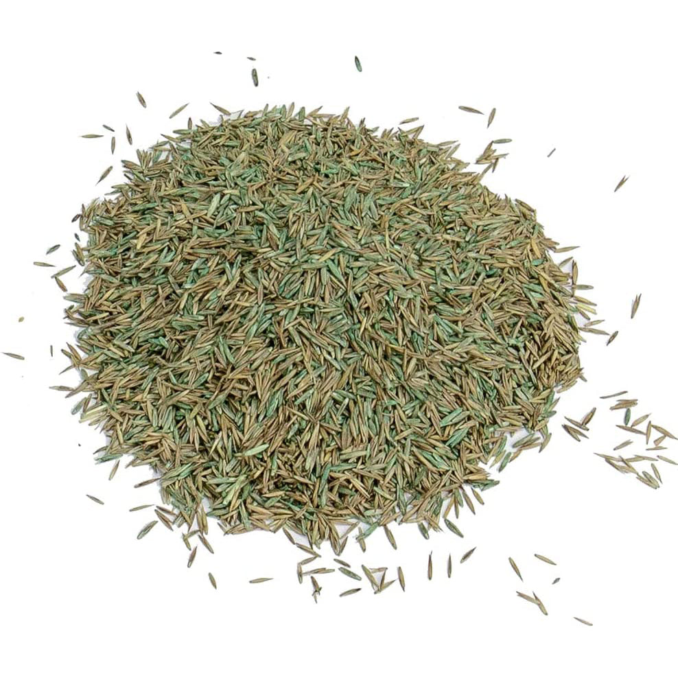 Gro-Sure Fast Acting Lawn Seed