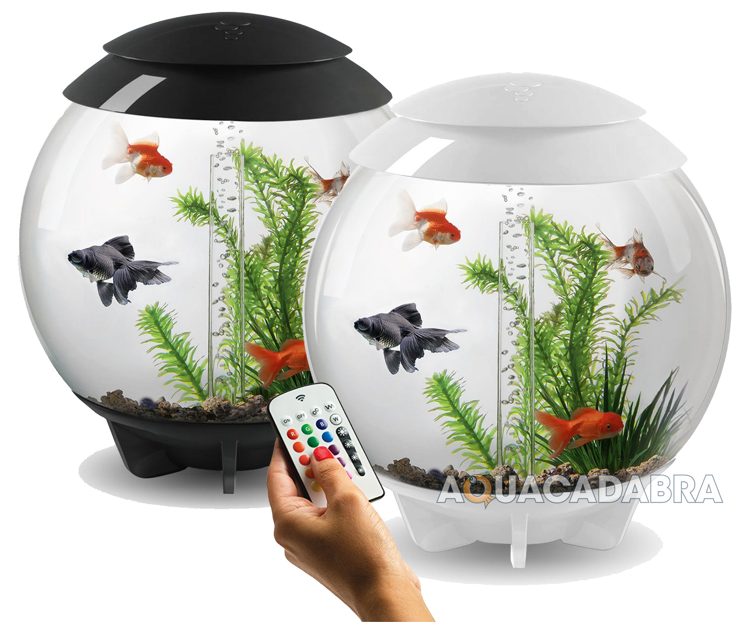 Biorb goldfish best sale