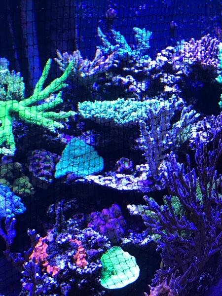 D-D Jumpguard Pro DIY Aquarium Covers