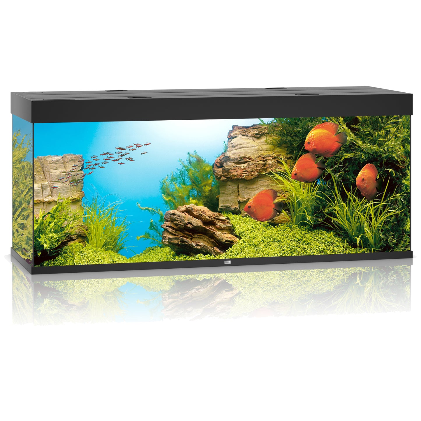 Juwel Rio 450 LED Aquarium Only
