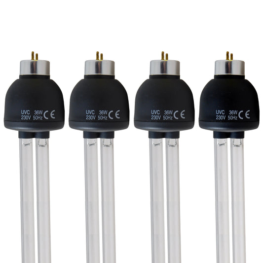 Cloverleaf SmartStart 144w UV Bulb