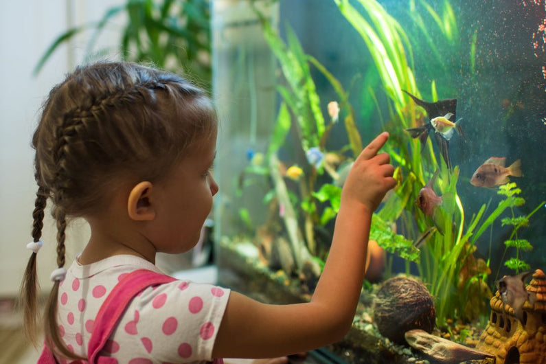 Why is fishkeeping good for kids?