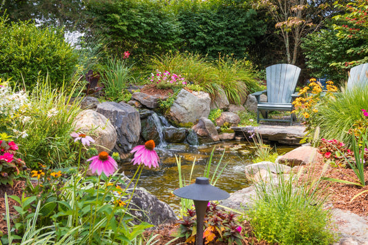 Summer Ponds: Top Summer Pond Maintenance Tips