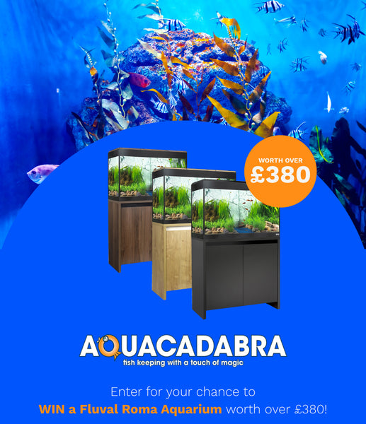 Win an Aquarium and Cabinet worth over £380 with Aquacadabra