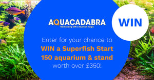 WIN a Superfish Start 150 Aquarium & Stand