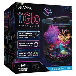 Aquacadabra’s Top Gifts for Fish Lovers