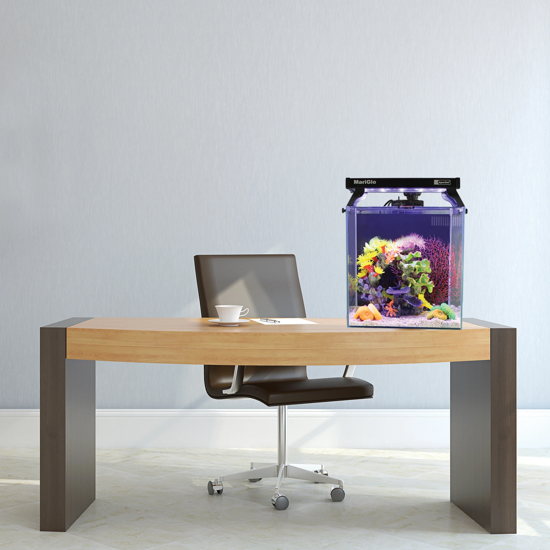 The Best Desktop Aquariums