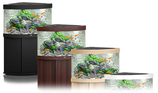 Choosing The Right Aquarium For You