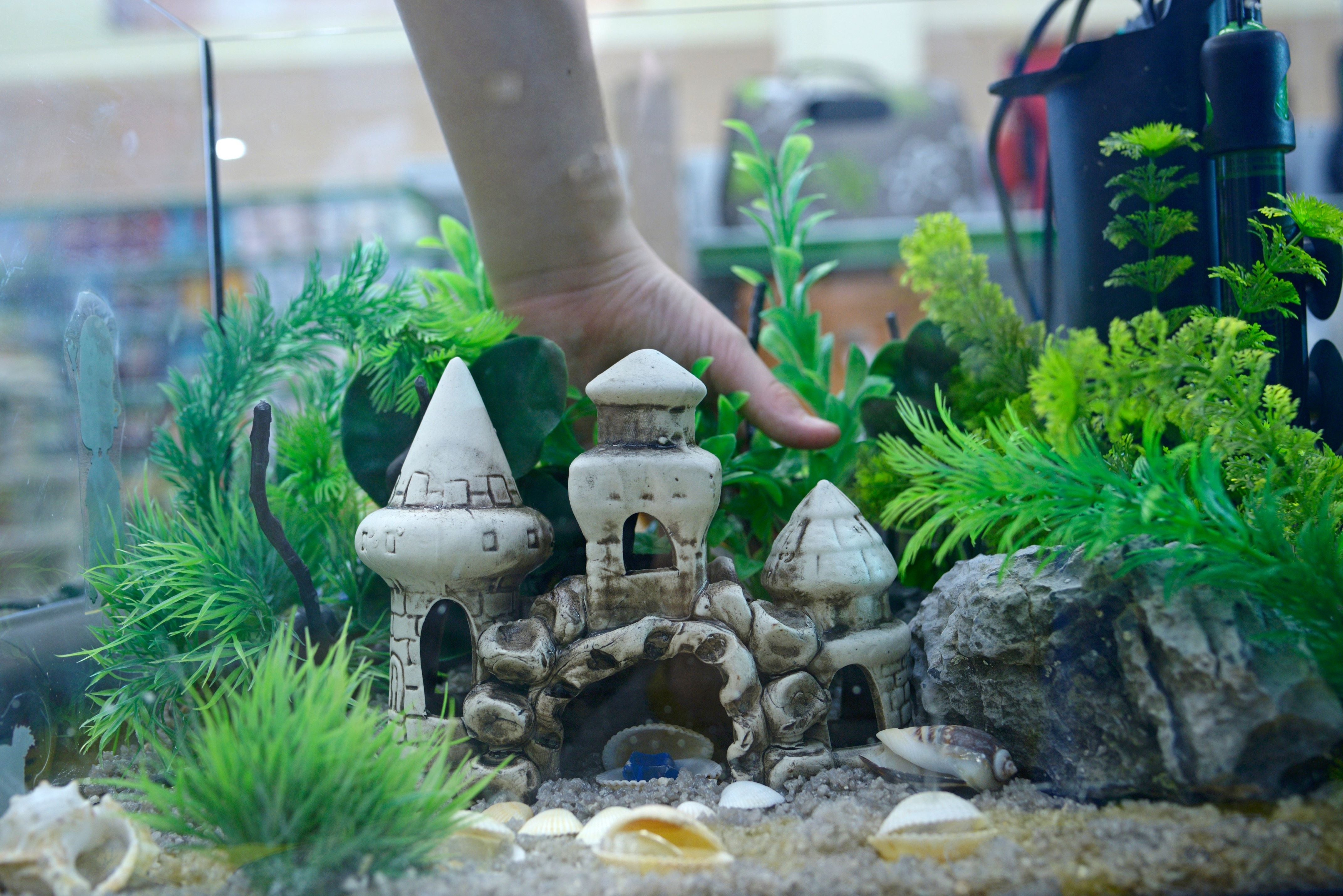 15 Things From Amazon To Help Your Home Aquarium Thrive