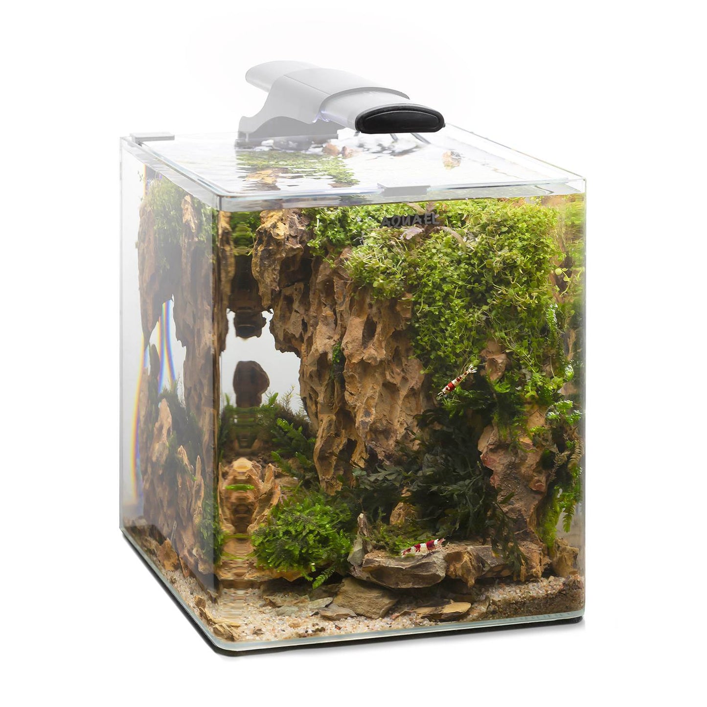 Aquael Optibent 20 Aquarium