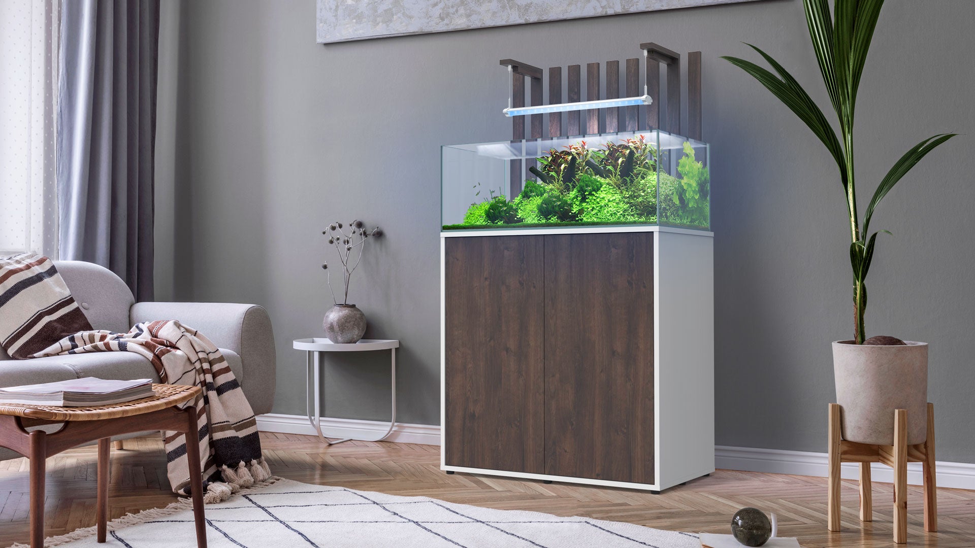 Shallow Aquascape 80 Aquarium