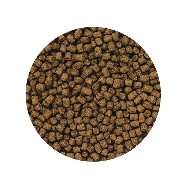 Hikari Lionhead Mini Goldfish Pellets