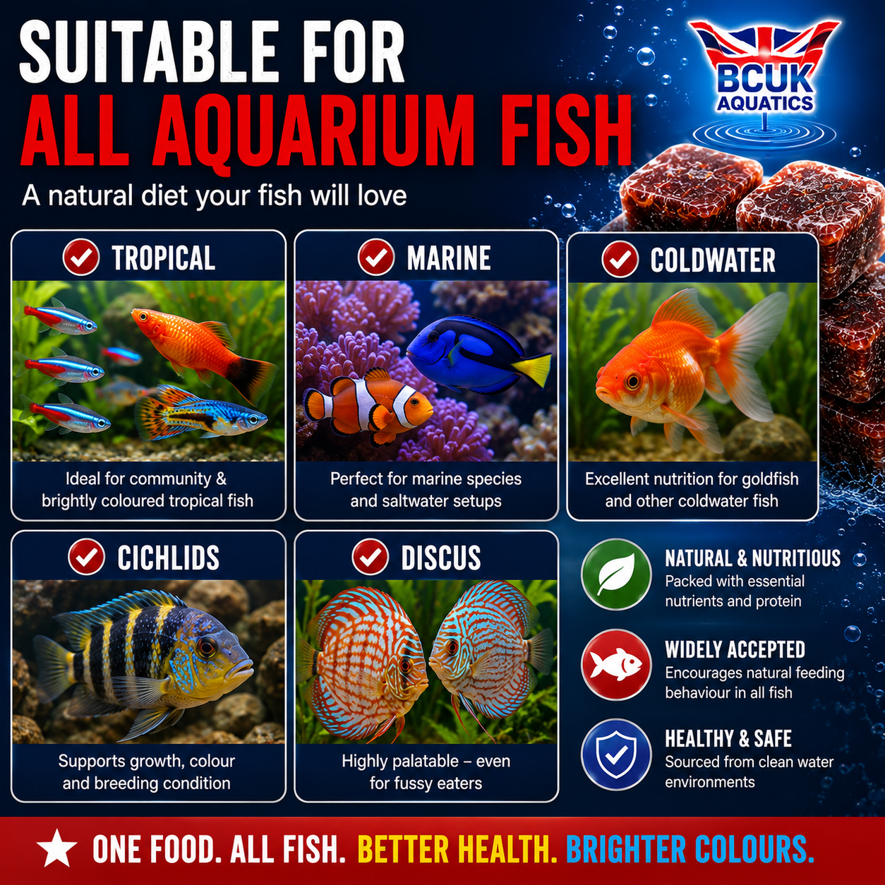BCUK 100g Frozen Bloodworm – Natural Fish Prey
