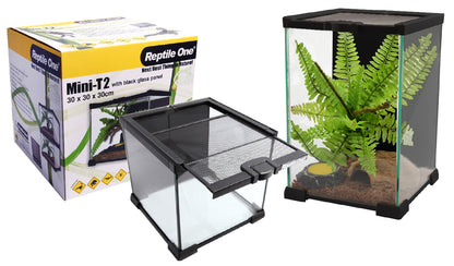 Reptile One Glass Terrariums