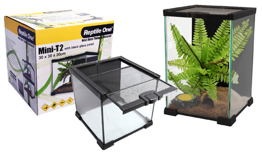 Reptile One Glass Terrarium - Secure, Stackable, Ventilated