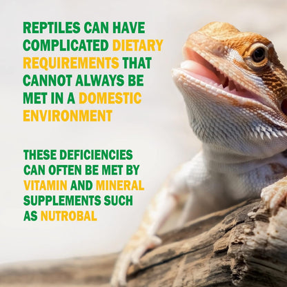Vetark Reptile Bird Multivitamin Supplement