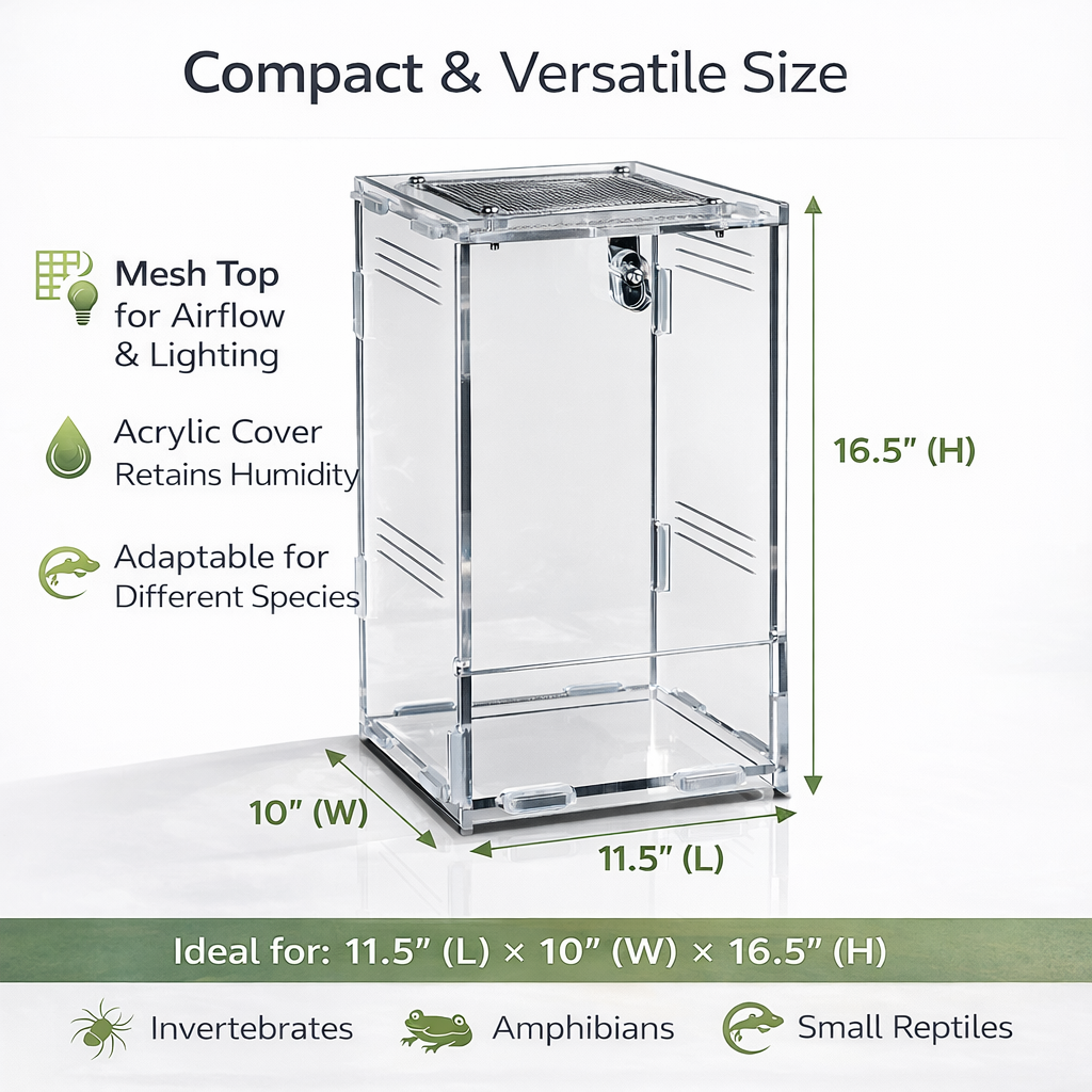 Repto Terra Clear Acrylic Terrarium Mesh Top Lock Reptile Enclosure
