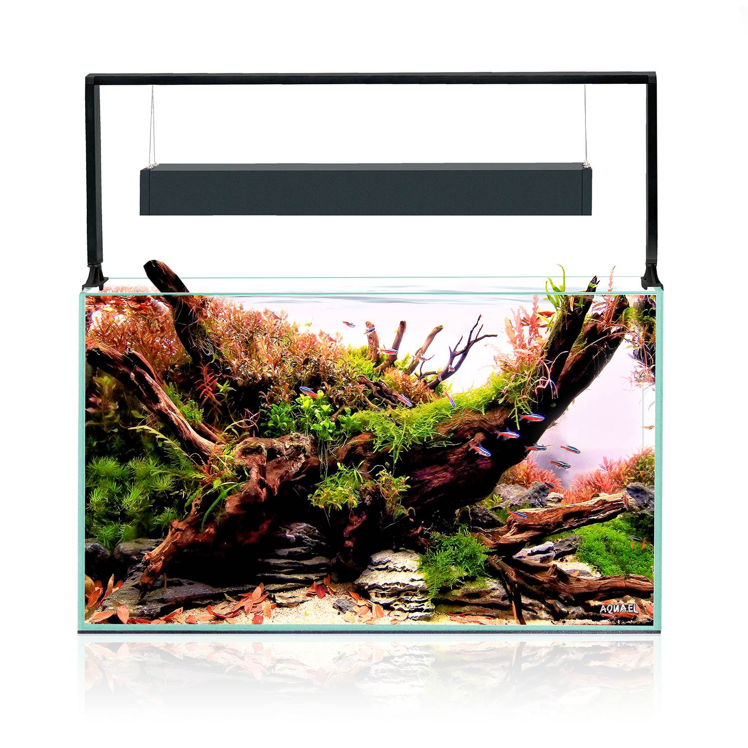 Aquael Ultrascape 60 Aquarium Set